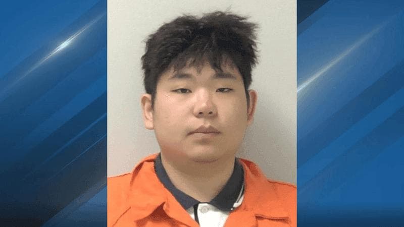 US Affairs|24-Year-Old Chinese National Arrested in US for Role in $1M+ Imposter Scam