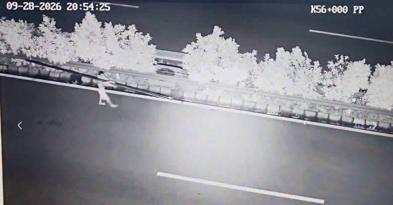 柬家事|金港高速惊现恶意横放铁条,警方全面追捕嫌疑人