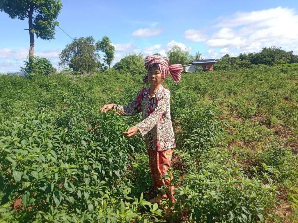 Photo 1 · Battambang
