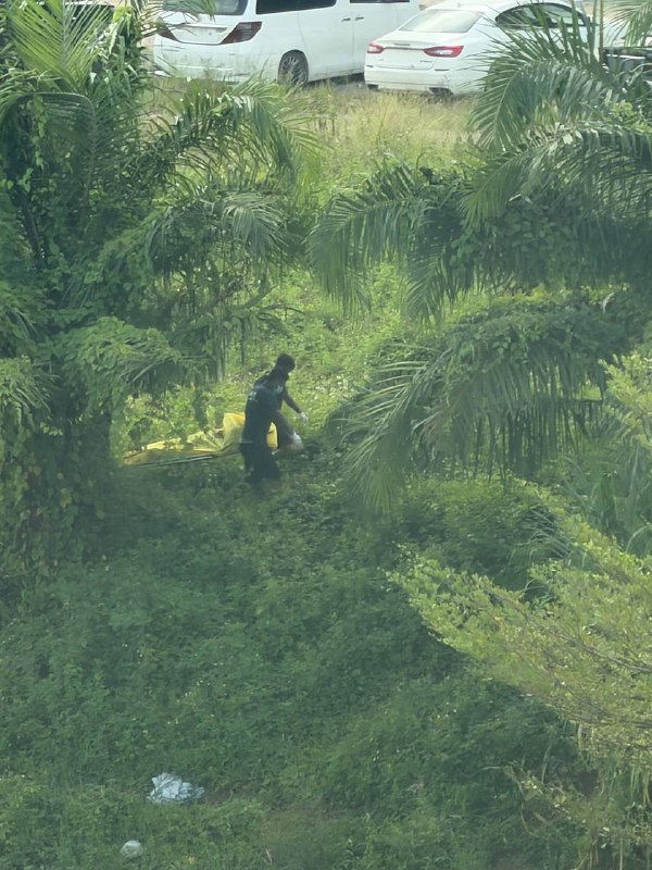 Photo 1 · Laos