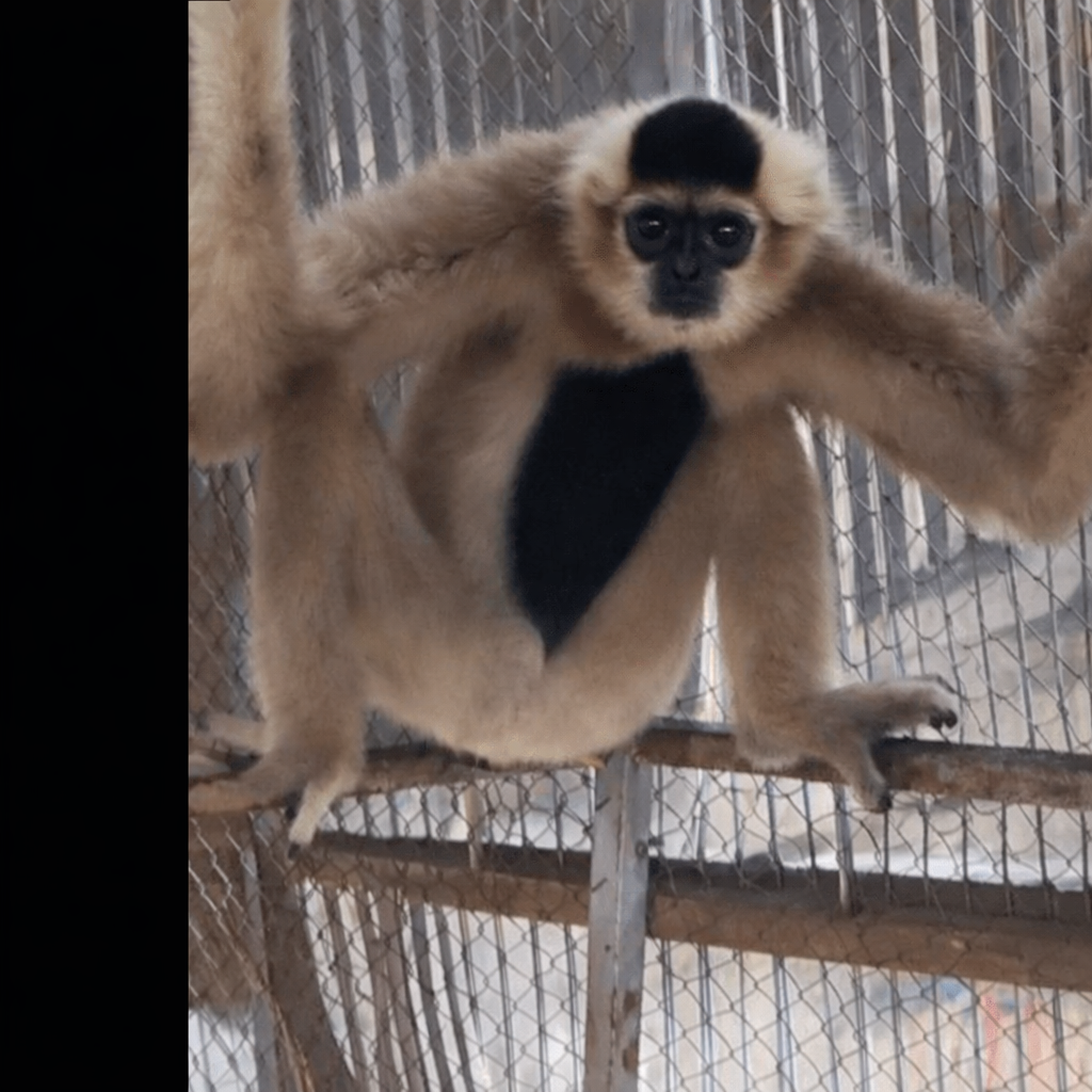 រូបភាព 1 · រាជធានីភ្នំពេញ